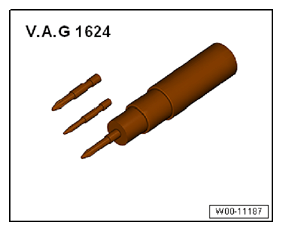 G12354882