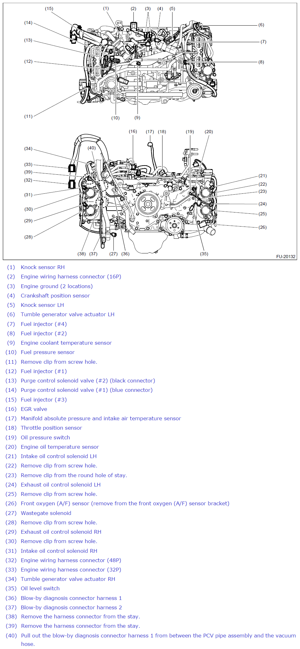 G12444166