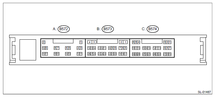 G12518824
