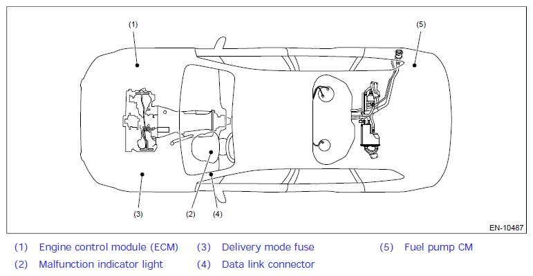 G12519078