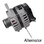 G12576338