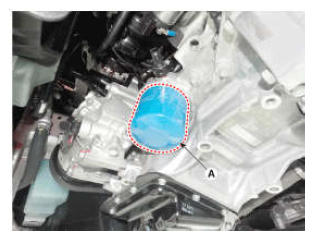 G12594409