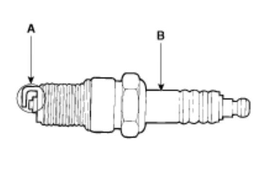 G12594519