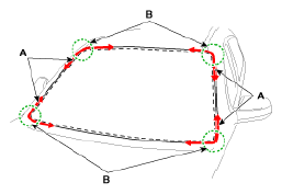 G12820597