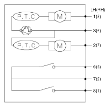 G12821155