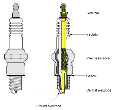 G12830055
