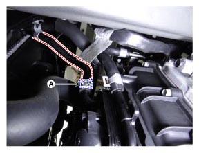 G12885829