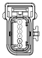 G12974429
