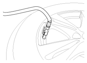 G13028707