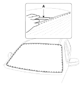 G13033083