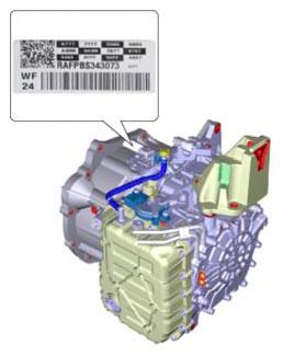G13035222
