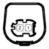 G13039479