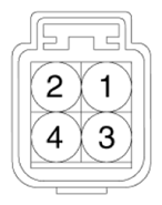 G13044276