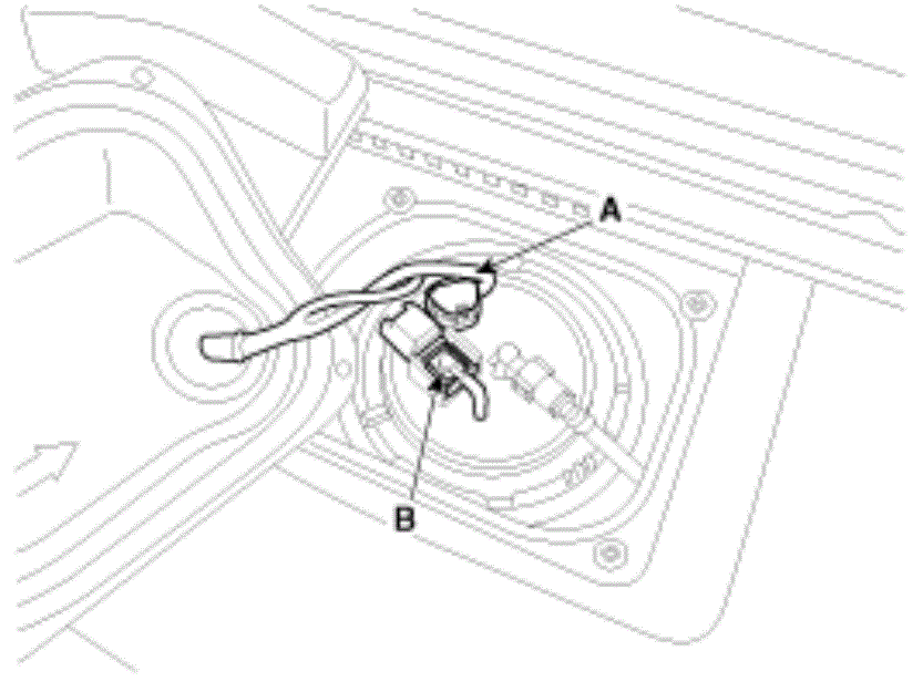 G13044334