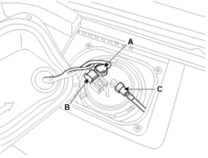 G13044342