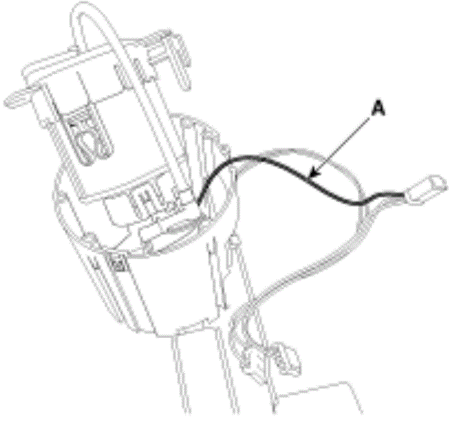 G13044356
