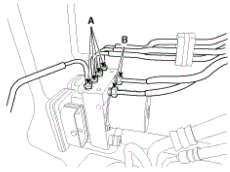 G13045650