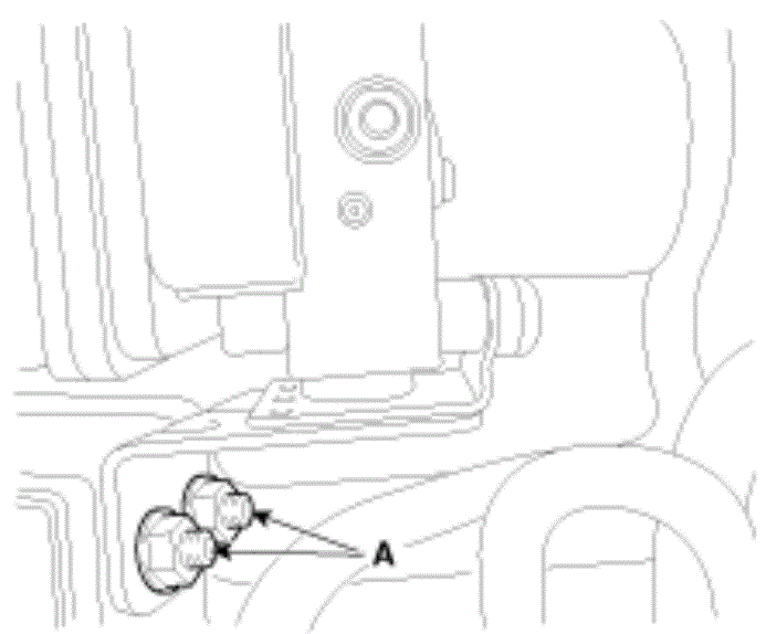 G13045651