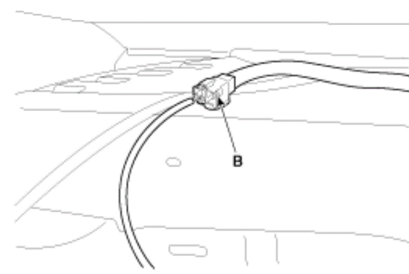 G13045655