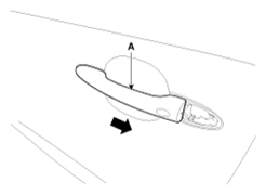 G13047505