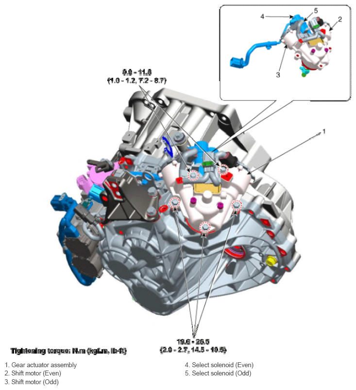 G13052834