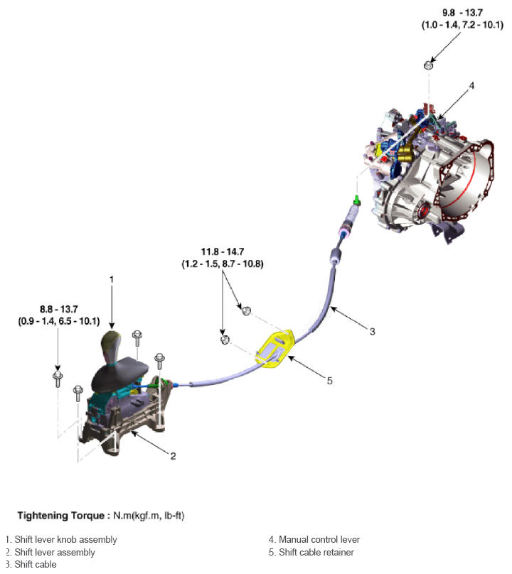 G13052873