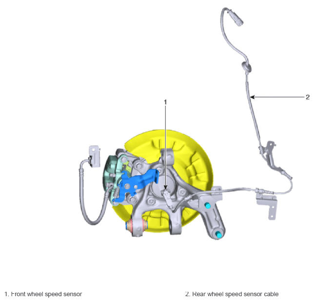 G13053591