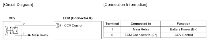 G13055596
