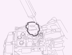 G13055718