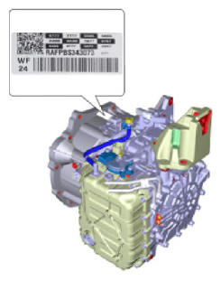 G13055748