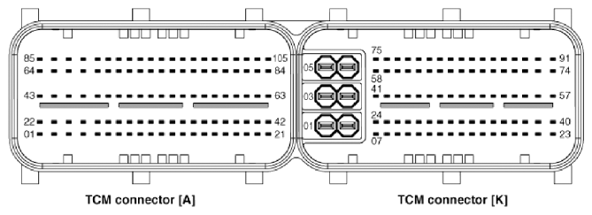 G13055907