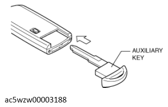 G13114676