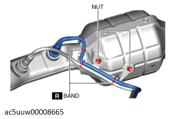 G13119368
