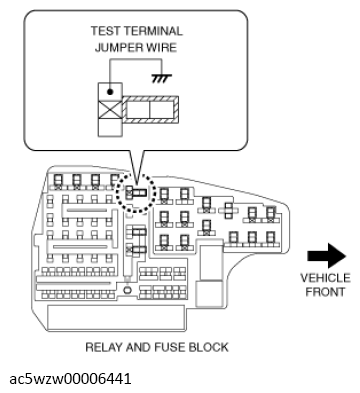 G13119392