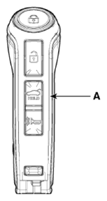 G13128945