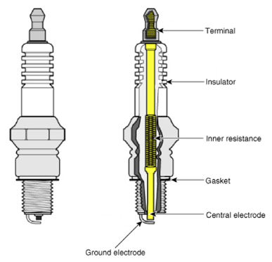 G13143098