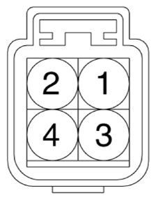 G13143346