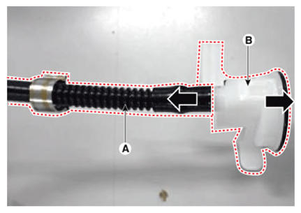 G13143564