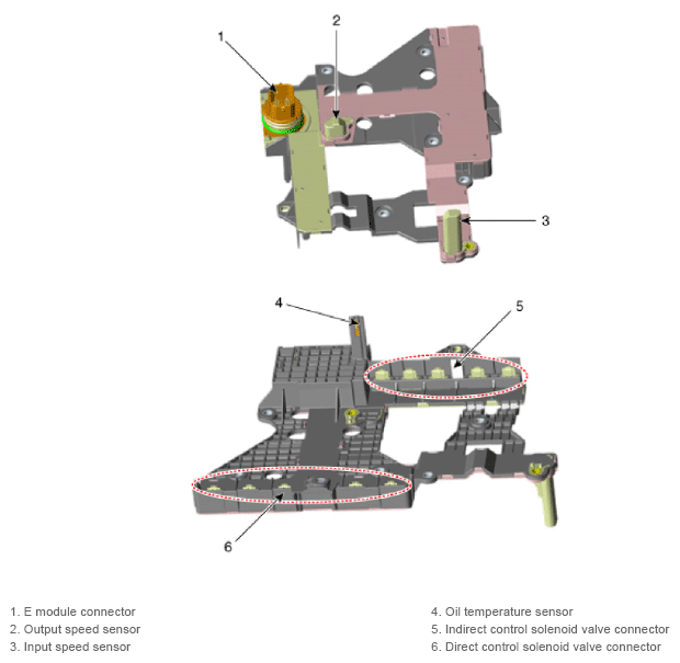 G13143629