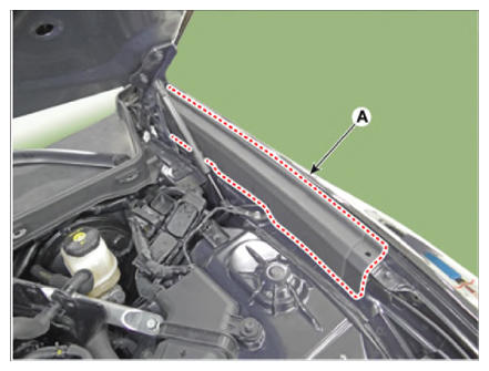 G13144356