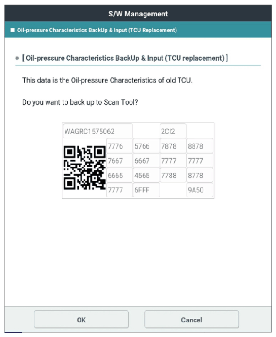 G13144946
