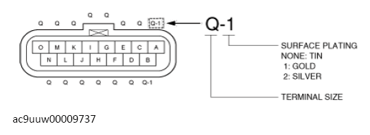 G13148616