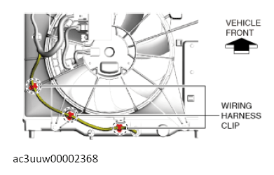 G13149351