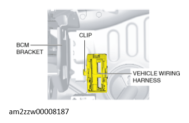 G13153754