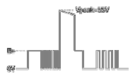 G13155684
