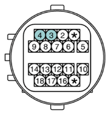 G13155971