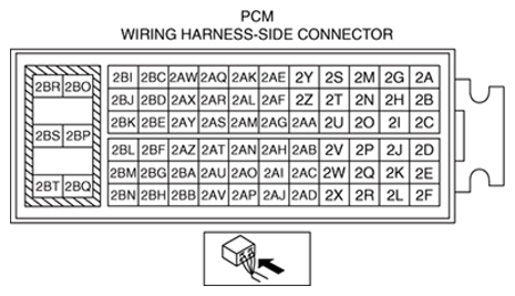 G13174057