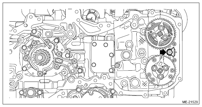 G13198775