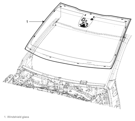 G13213229