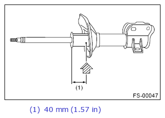 G13248692